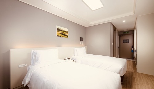 Habitación Deluxe con 2 camas individuales