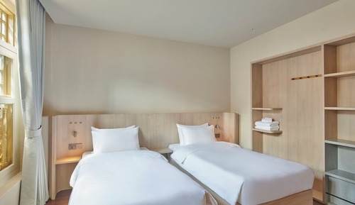 Habitación Deluxe con 2 camas individuales