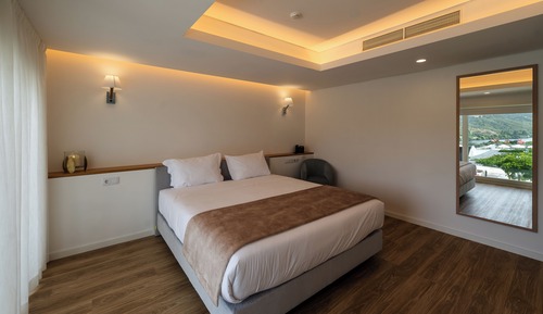 Habitación doble superior, 1 cama doble