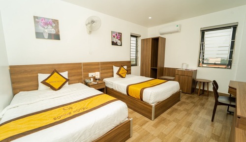Habitación Confort con 1 cama doble o 2 individuales