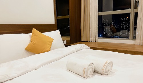 Luxury Apartment