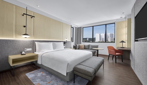 Suite, 1 cama de matrimonio grande con sofá cama
