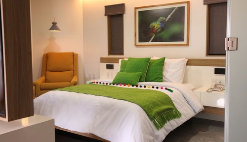 Suite estudio Premium