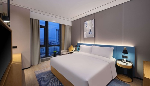 Habitación Premium, 1 cama de matrimonio grande