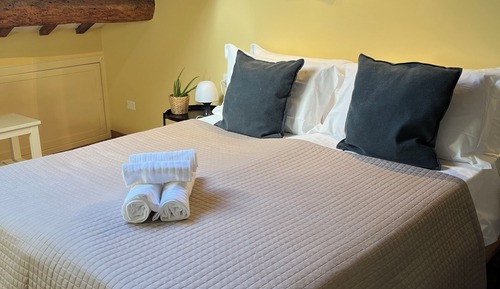 Habitación clásica con 1 cama doble o 2 individuales (16)
