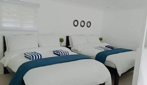 Suite estudio junior