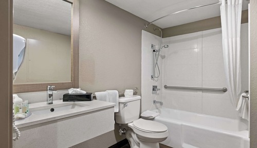 Suite, 1 cama de matrimonio grande, accesible para personas con discapacidad (Roll-In Shower)