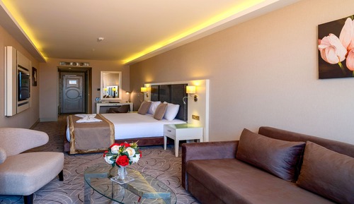 Habitación individual superior