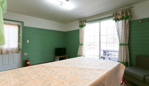 Room (Olive Green)