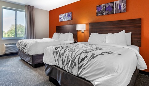 Habitación estándar, 2 camas de matrimonio, no fumadores