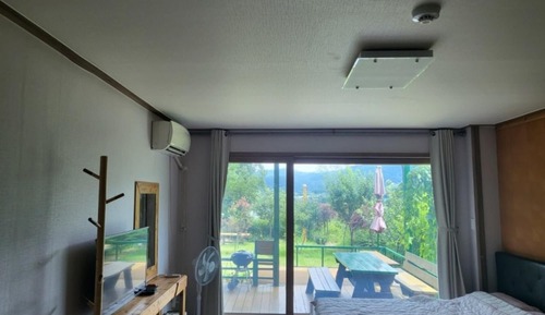 Room (Beech (1F))