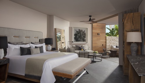 Preferred Club Junior Suite Swim Out King Tropical View