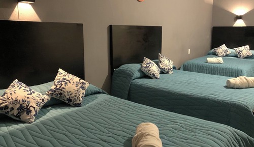 Habitación estándar (3 Double Beds)