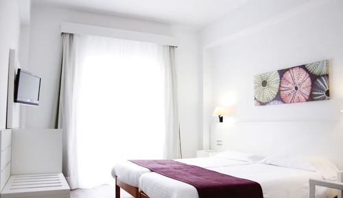 Habitación doble superior (Occupancy 3)