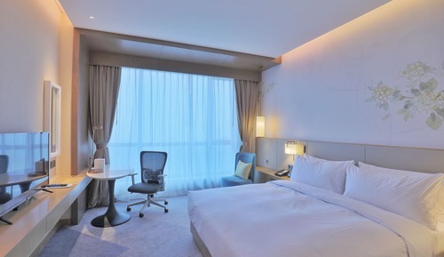 Habitación, 1 cama de matrimonio grande