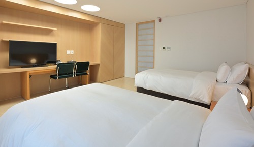 Habitación Deluxe con 2 camas individuales