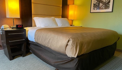 Standard Room, 1 King Bed, Non Smoking