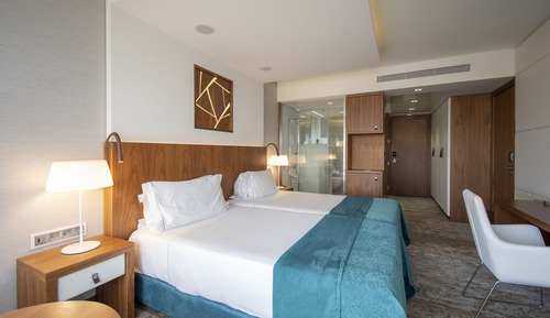Habitación Deluxe con 2 camas individuales