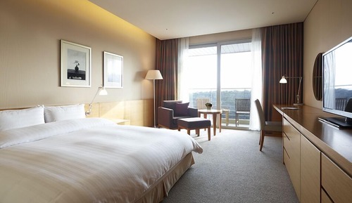 Habitación Deluxe, 1 cama de matrimonio grande, vistas al jardín
