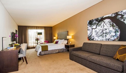Suite Estudio Business