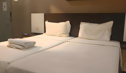 Habitación Deluxe con 2 camas individuales