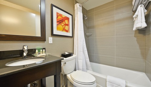 Habitación Premium, 1 cama de matrimonio grande
