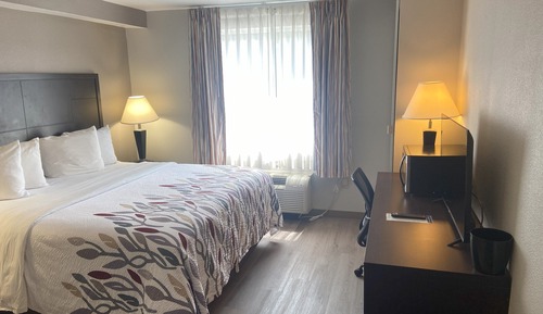 Habitación estándar, 1 cama de matrimonio grande, no fumadores
