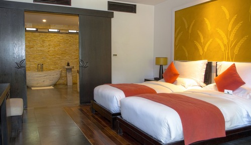 Habitación Deluxe con 2 camas individuales, vistas al jardín