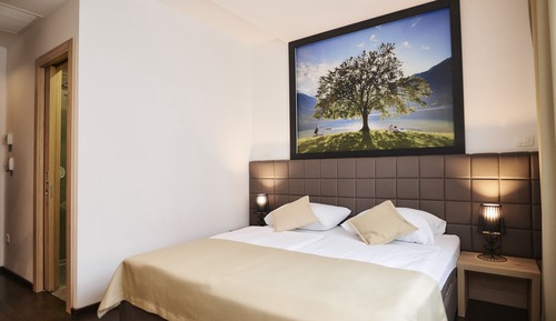 Habitación Deluxe doble