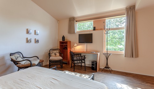 Habitación estándar con 1 cama doble o 2 individuales