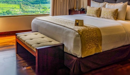 Suite superior