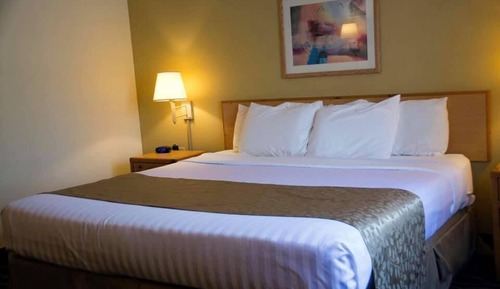 Habitación estándar, 1 cama de matrimonio grande, accesible para personas con discapacidad
