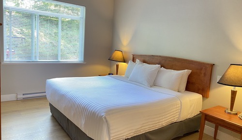 Suite, 1 cama de matrimonio grande con sofá cama, cocina