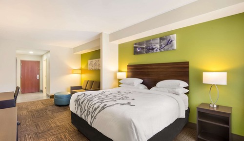 Habitación estándar, 1 cama de matrimonio grande con sofá cama, no fumadores