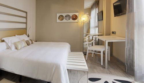 Habitación ejecutiva con 1 cama doble o 2 individuales