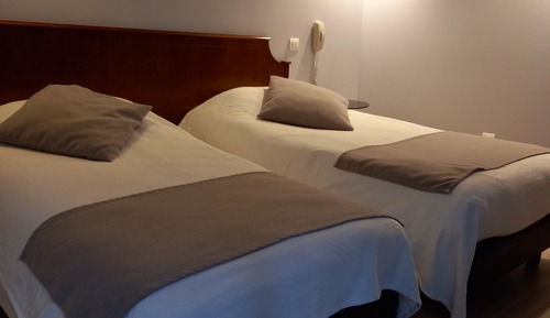Habitación estándar con 2 camas individuales (Hôtel)