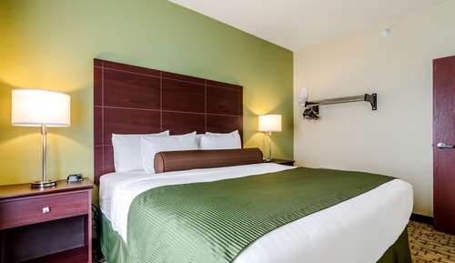 Suite, 1 cama de matrimonio grande con sofá cama, accesible para personas con discapacidad