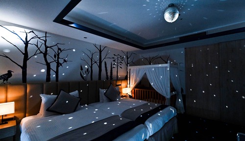 Habitación familiar (with Nature, infant)