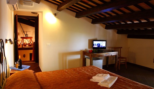 Suite junior
