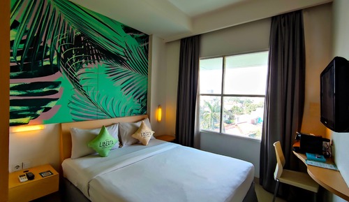 Habitación Premium doble, 1 cama doble