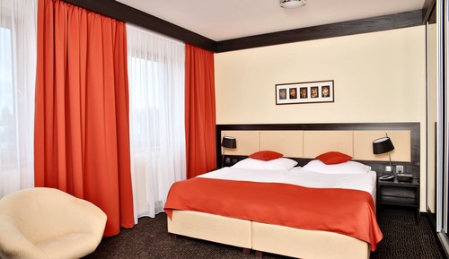Habitación Business con 1 cama doble o 2 individuales