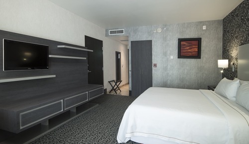 Habitación estándar, 1 cama de matrimonio grande, accesible en silla de ruedas (Roll-In Shower)