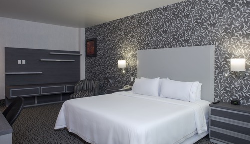 Suite estudio, 1 cama de matrimonio grande con sofá cama