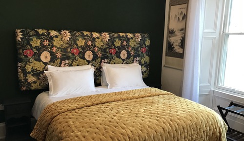 Habitación Deluxe con 1 cama doble o 2 individuales, planta baja (Orchid Room)