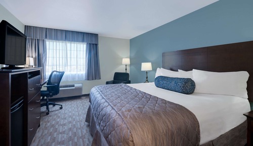 Habitación estándar, 1 cama de matrimonio grande