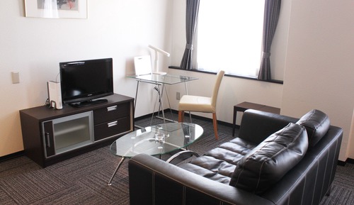 Habitación Premium con 2 camas individuales, fumadores