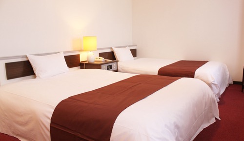 Habitación Deluxe con 2 camas individuales, fumadores
