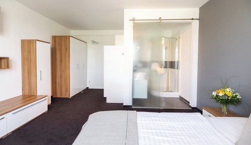 Habitación Business individual, 1 cama de matrimonio