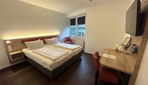 Habitación estándar doble, baño privado, vistas al parque