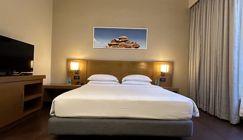 Suite, 1 cama de matrimonio grande con sofá cama